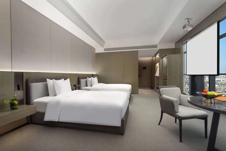 Deluxe Twin room with city view