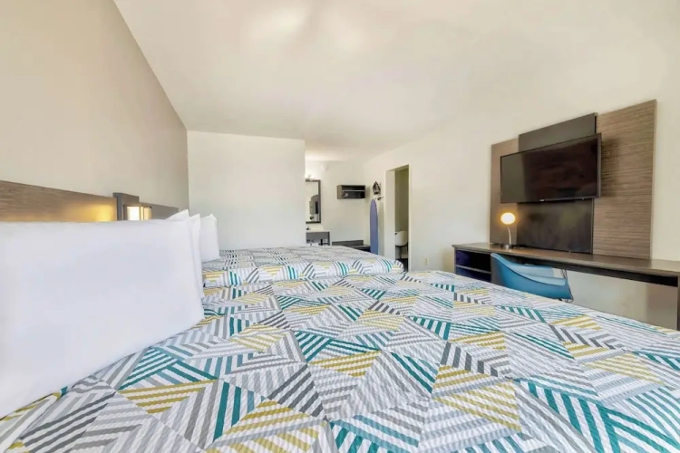 Standard Quadruple Suite