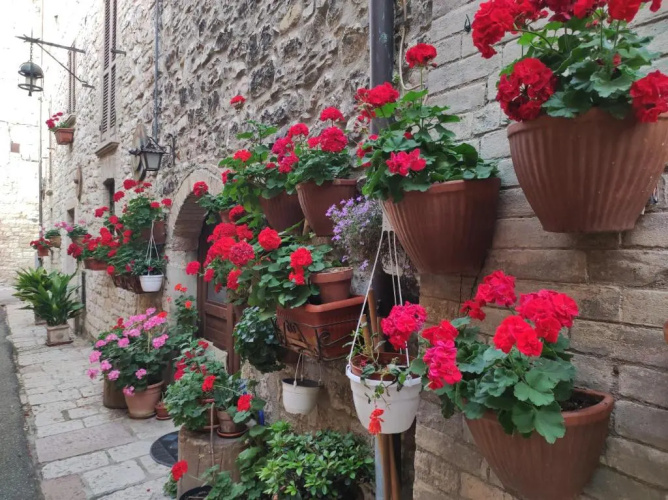 Appartamento Antica Assisi