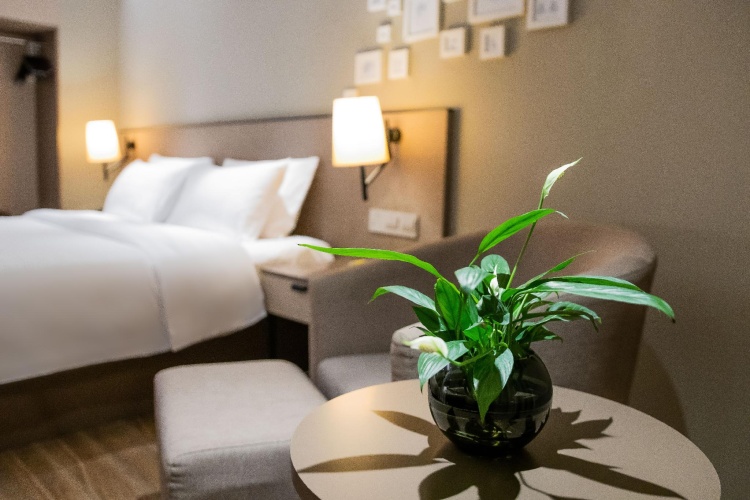 Business Double room