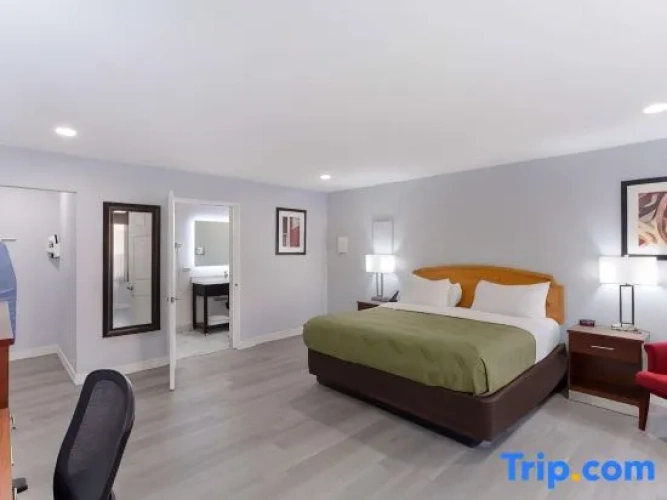 Quadruple Suite