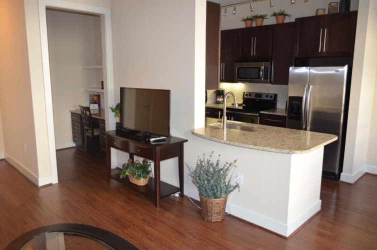 1 Bedroom Apartment