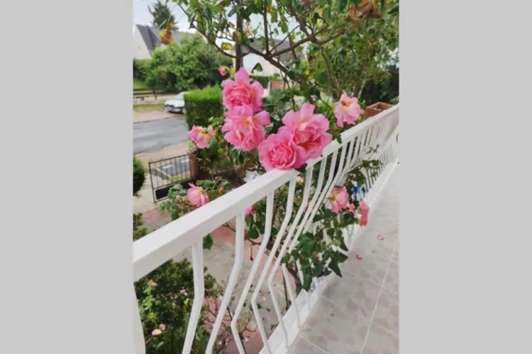 1 Bedroom Double Apartment