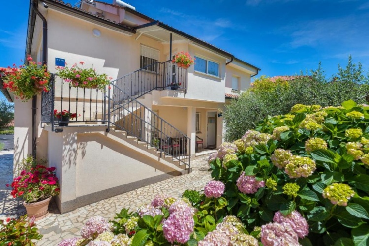 Apartment with garden view