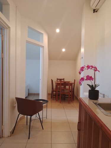 Comfort Apartment