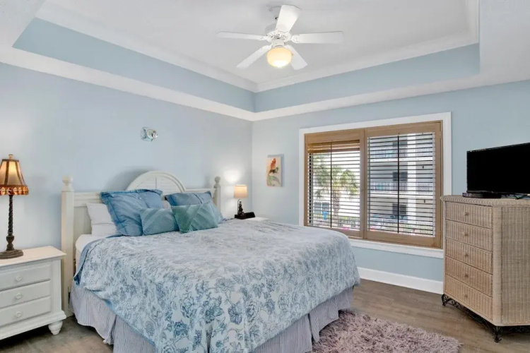 Palm Beach C21