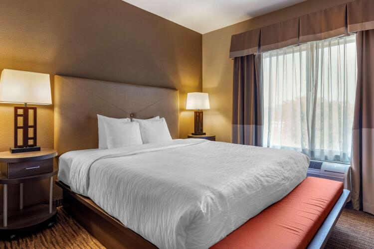 Best Western PLUS DFW Airport SuitesOver view