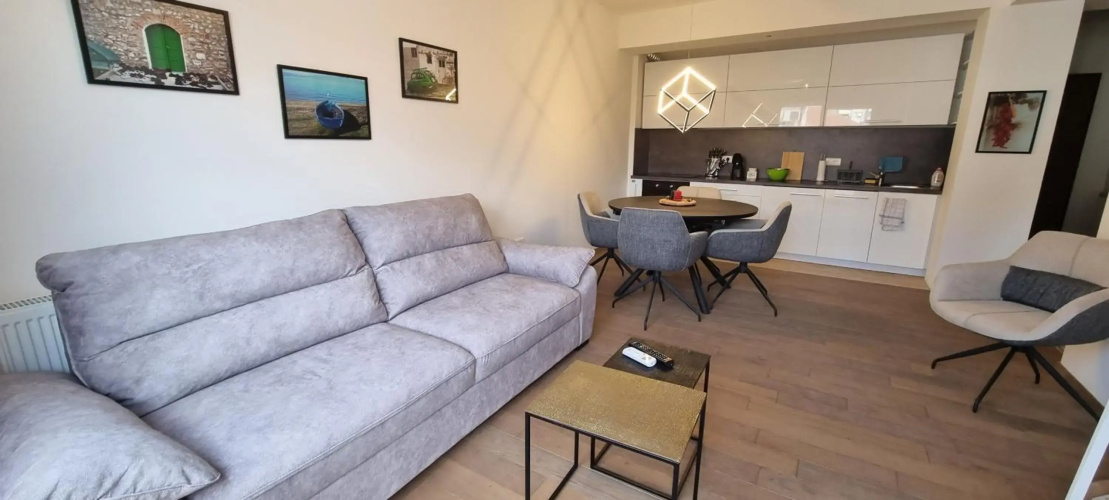 Svir Deluxe Apartment No 8