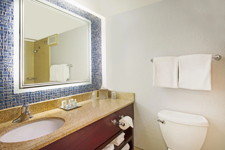 Wyndham Lake Buena Vista Disney Springs Resort Area photo 9