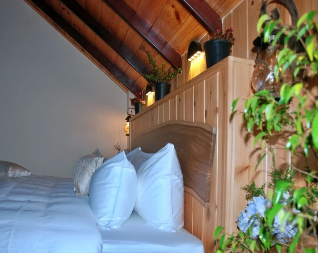 Standard Double room with balcony