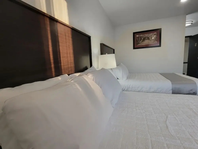 The Suite Inn