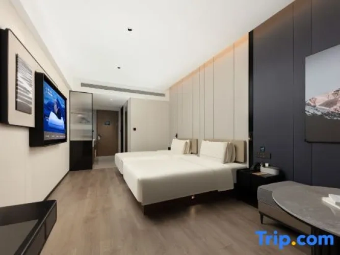 Executive Twin room