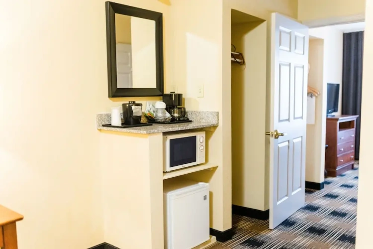 1 Bedroom Suite