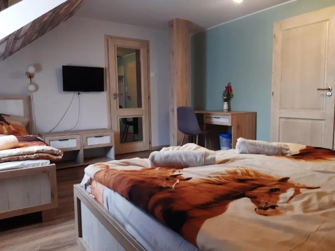 Standard Family room