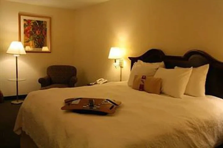 Single Suite