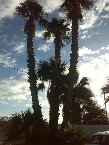 Xenios Torre Suda B&B