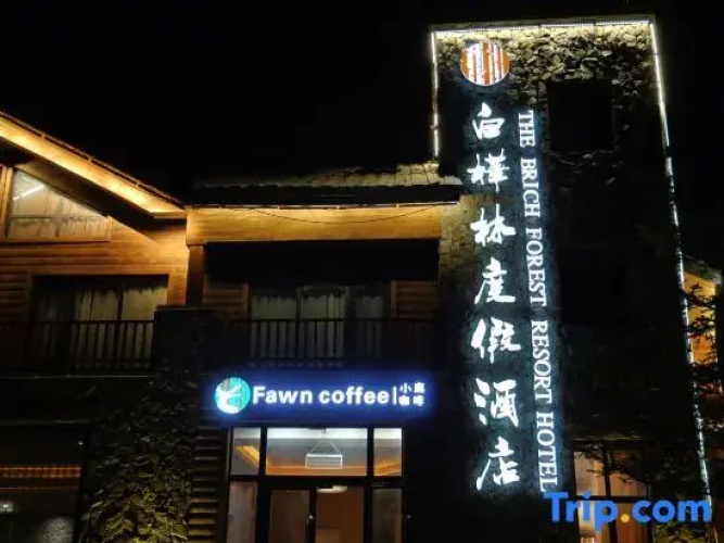 The Brich Forest Resort Hotel