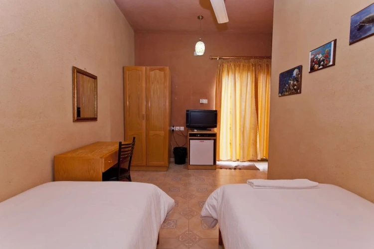 Standard Twin room