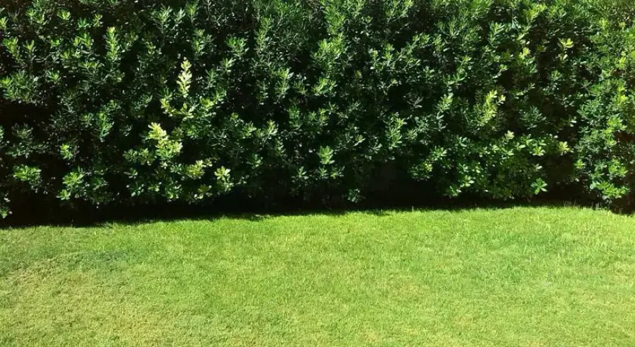 B&B Quartello Garden