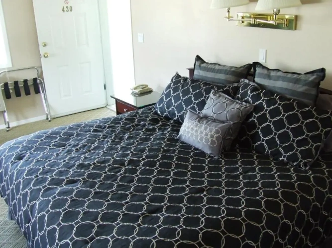 Standard room with view