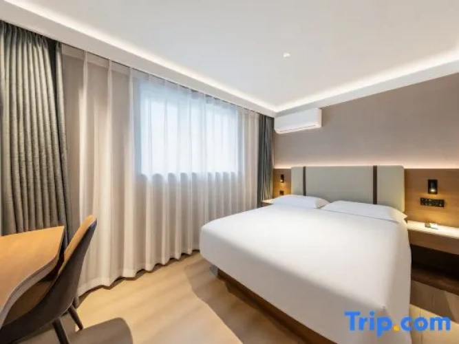 Business Family Suite