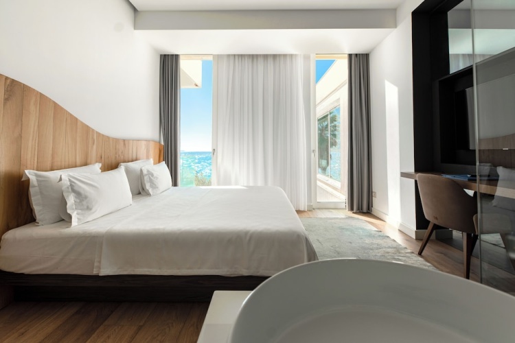 Standard Double room with balcony and with garden view