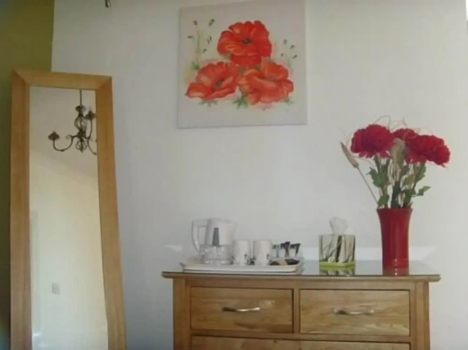 Standard Double room with city view