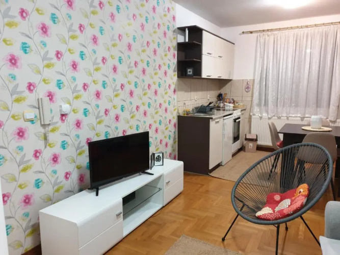 apartman Gledovic 1