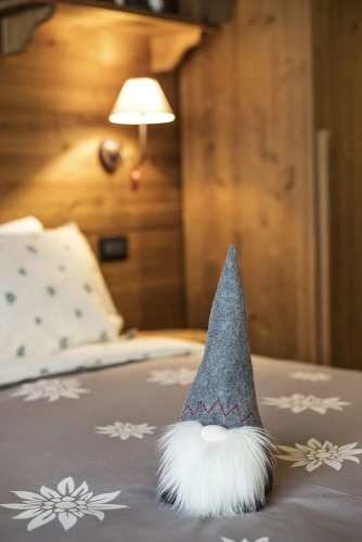 Comfort Double room with mountain view