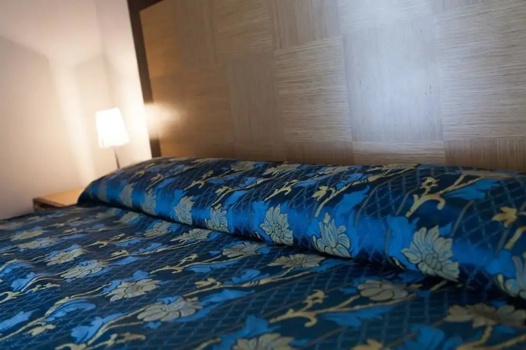 Hotel Aris