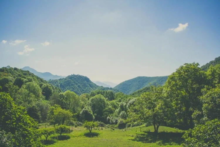 Standard Triple room with mountain view
