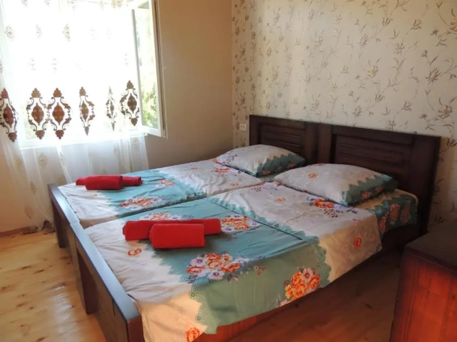 Standard Double room with mountain view
