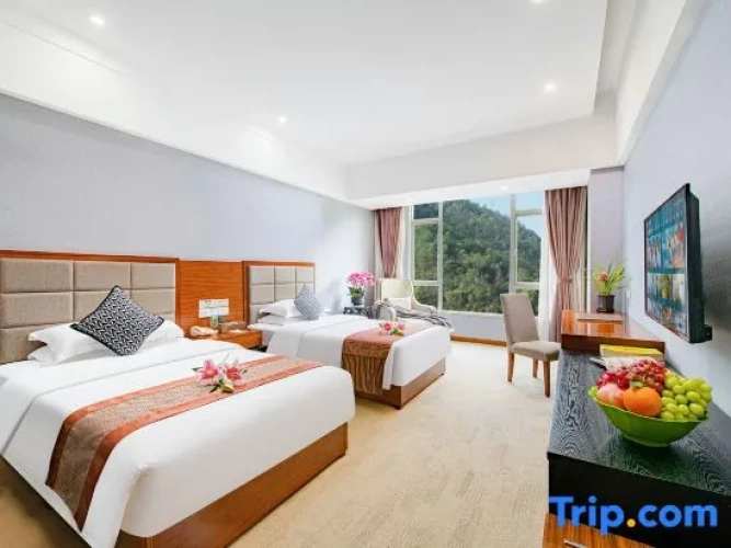 Business Double room with view