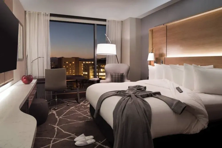 1 Bedroom Suite