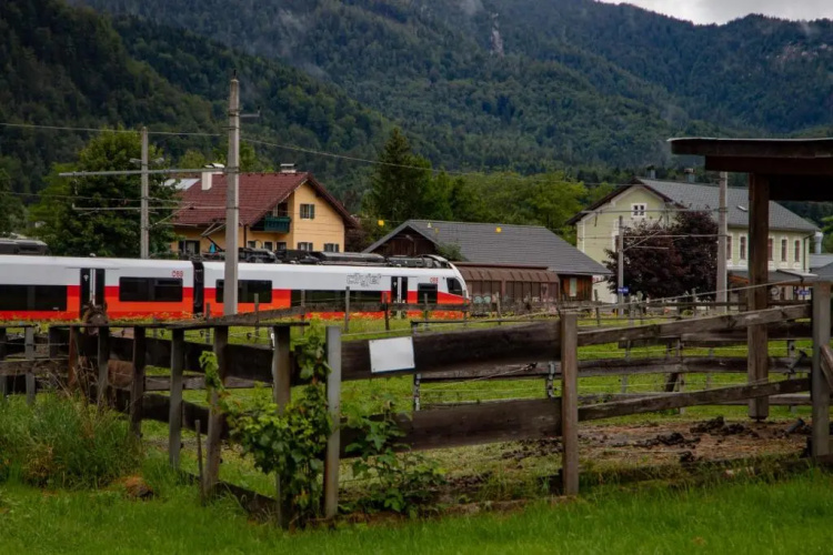 Sommerfrische Apartments