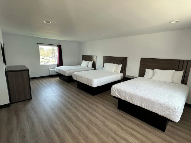 1 Bedroom Standard Triple Family room