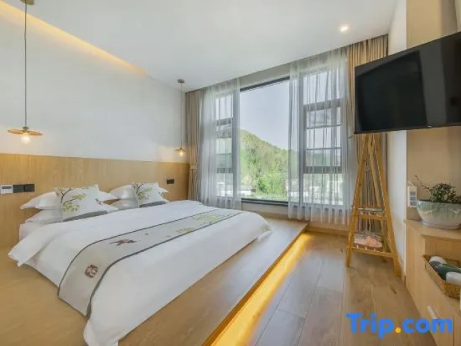 Deluxe Double room with mountain view