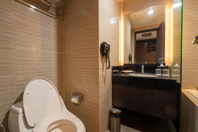 Deluxe Single room