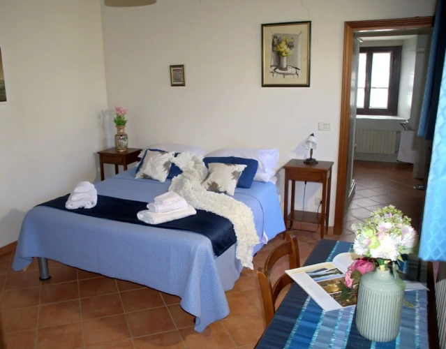 Economy Double Apartment with garden view