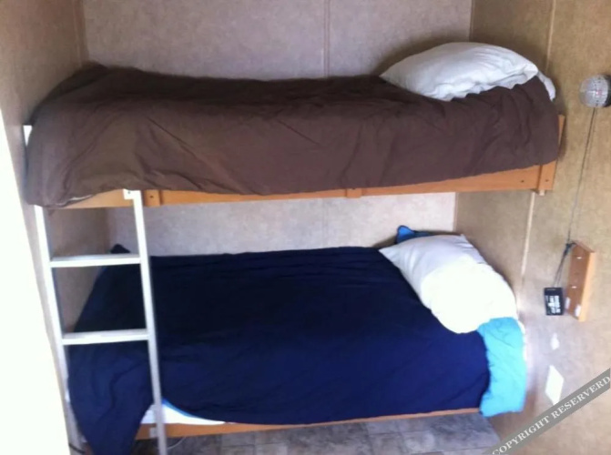 Shady Oaks Cabins & RV Park
