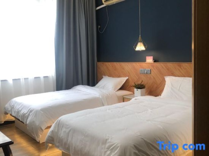 Standard Twin room with balcony and with mountain view