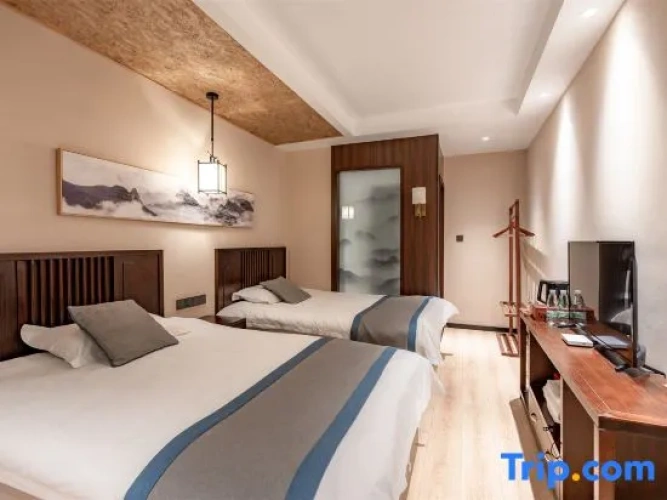Standard Double room with mountain view