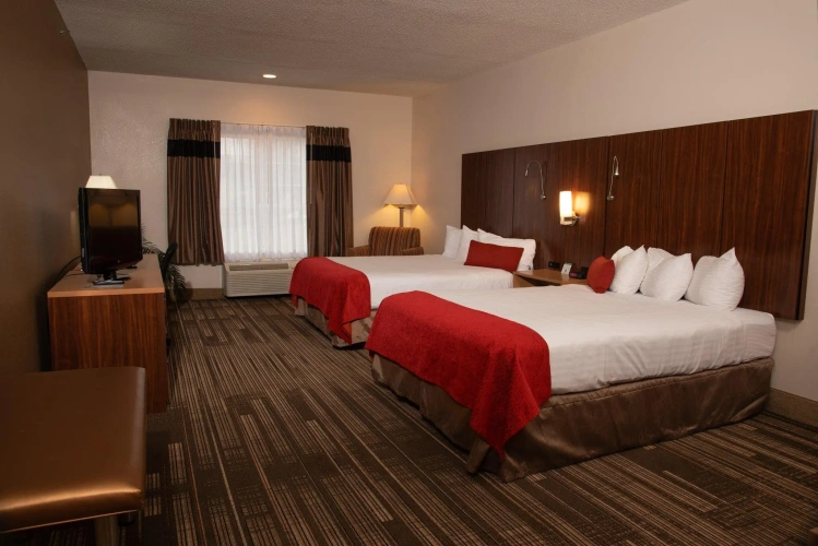 Standard Double room