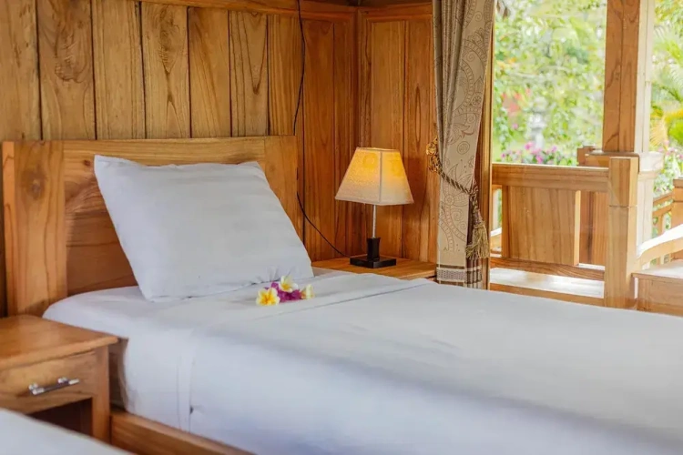 Deluxe Twin room with garden view