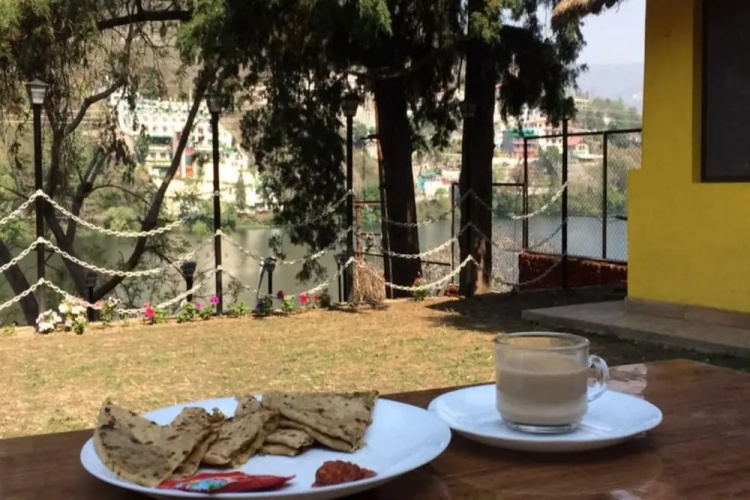Lazy Bear Resort And Cafe