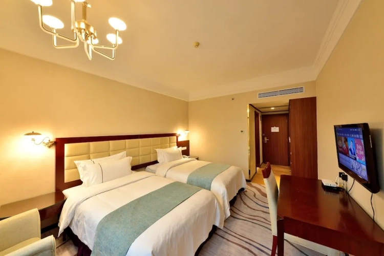 Deluxe Twin room with city view