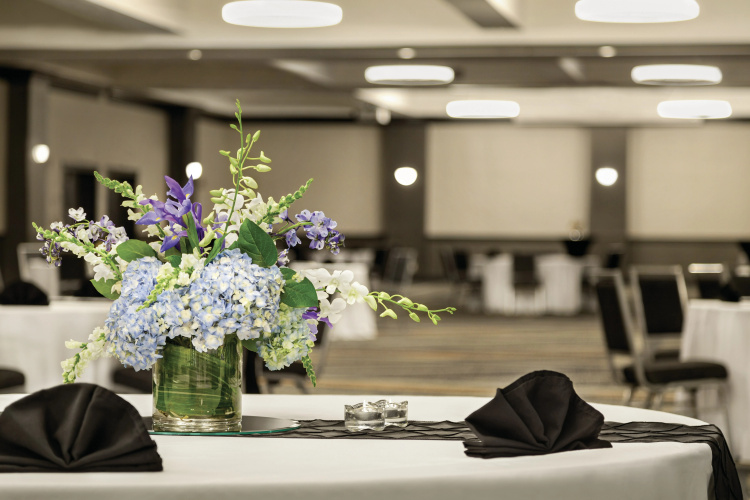 Hilton Inn Knoxville Airport photo 20