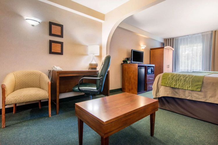 Comfort Inn & Suites photo 7