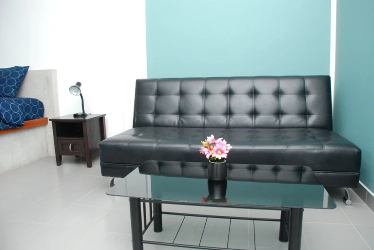 Standard Double room with balcony and with view