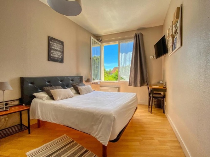 Standard Double room with garden view